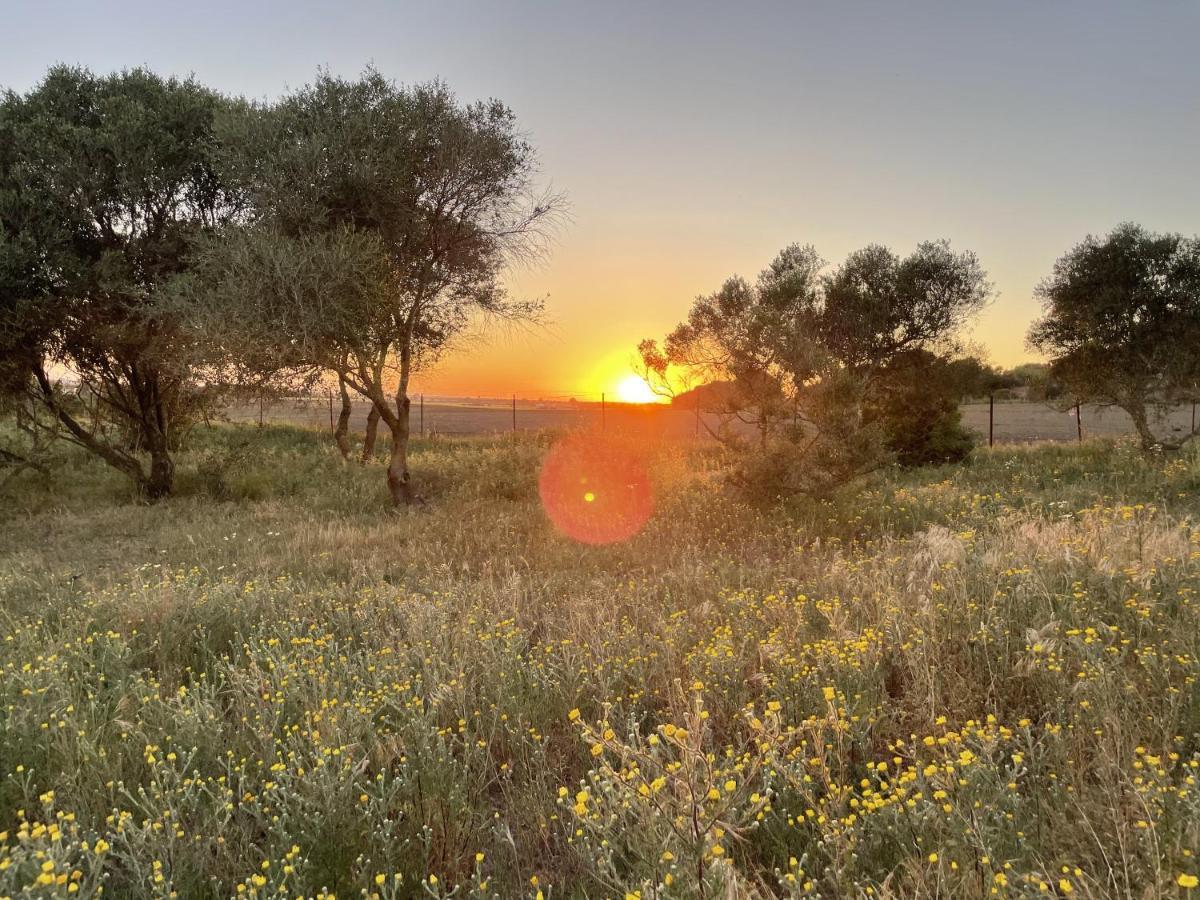 Tranquilo Glamping Hotell Hozanejos Exteriör bild