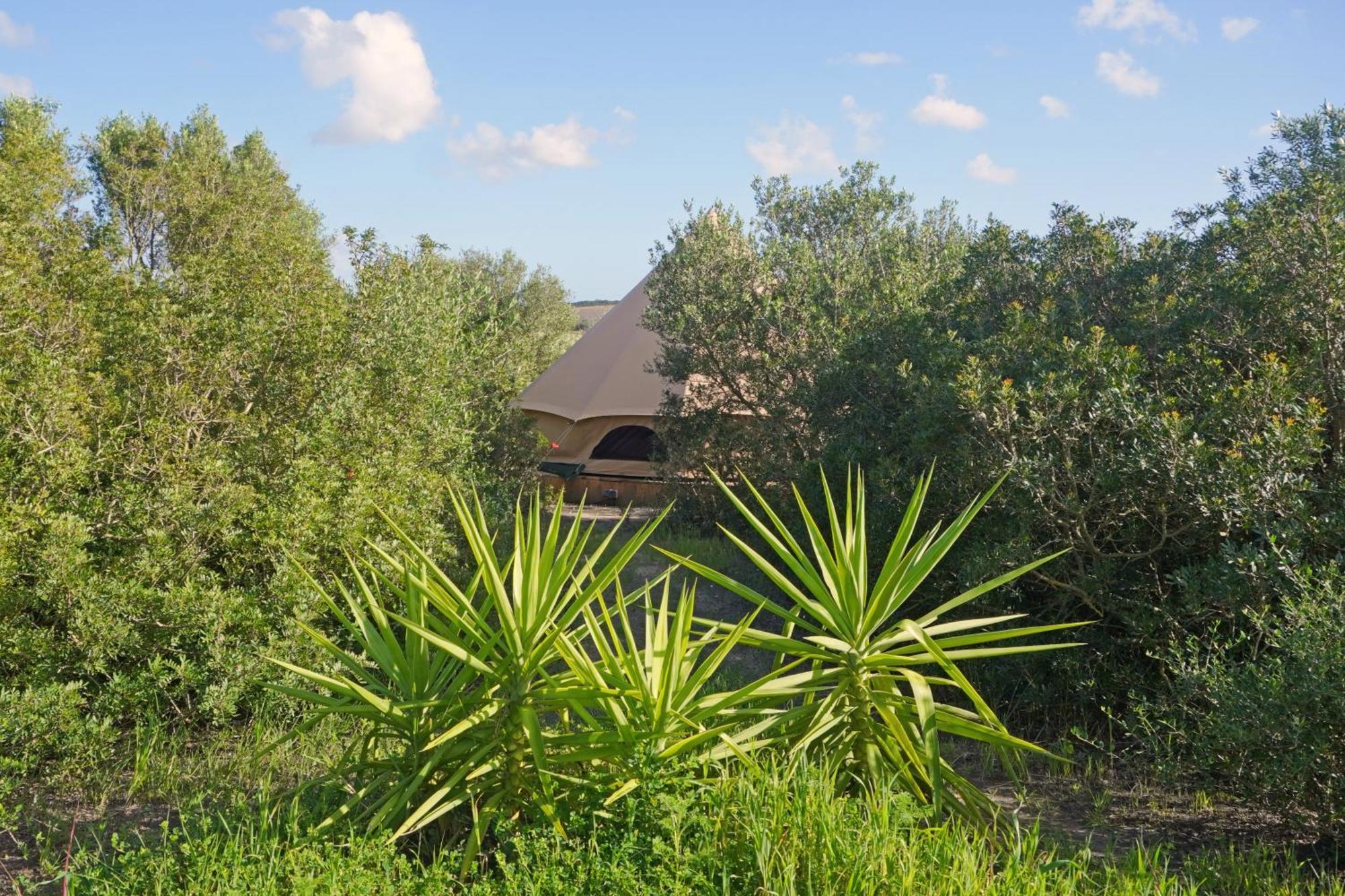 Tranquilo Glamping Hotell Hozanejos Exteriör bild